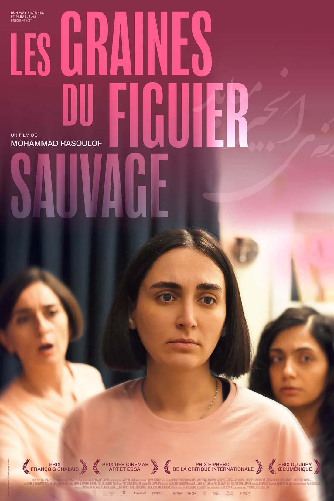 Les Graines du figuier sauvage (2024)